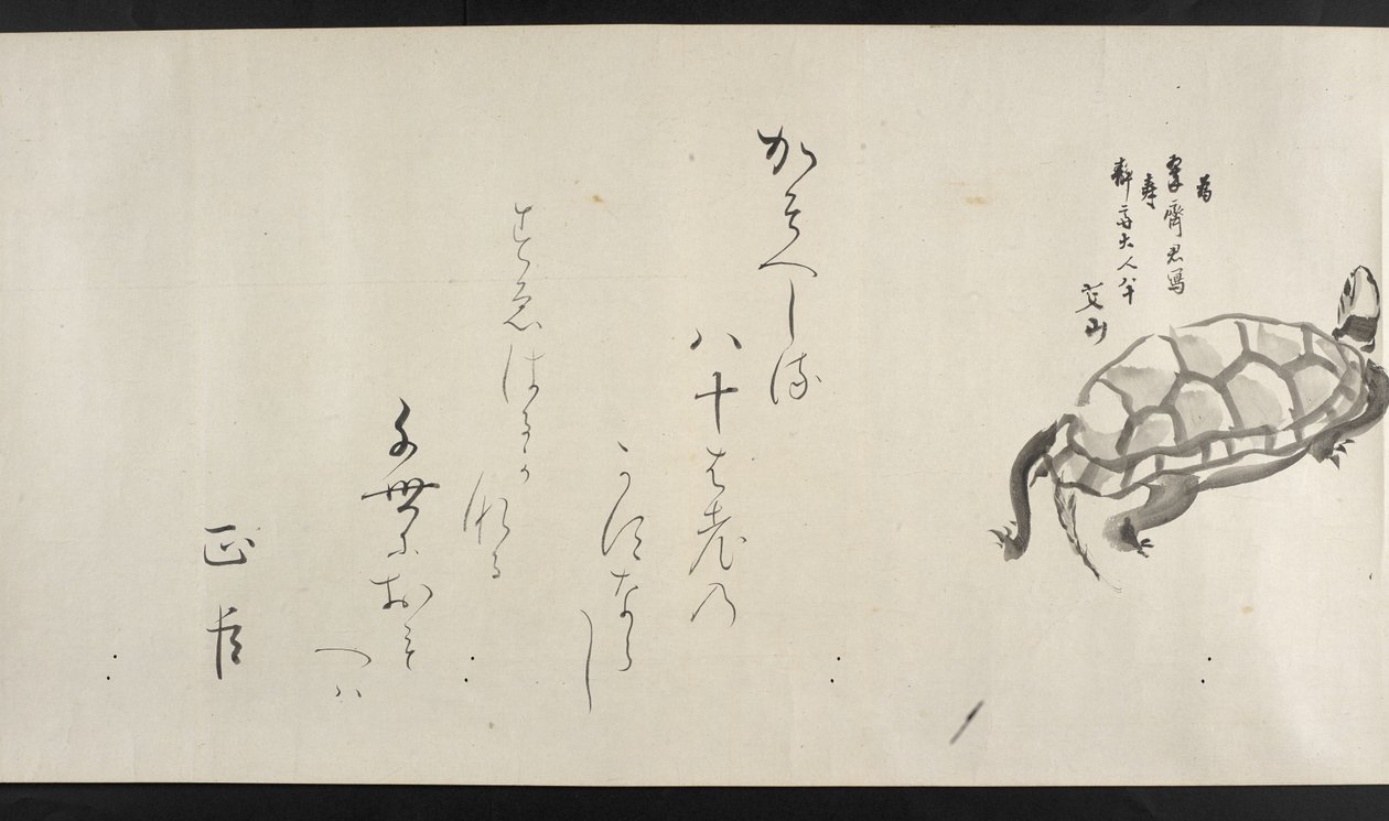 Tai. 14872, f.29, Kilpikonna, Yoshida Seisailta (käsirulla) tekijältä Japanese School