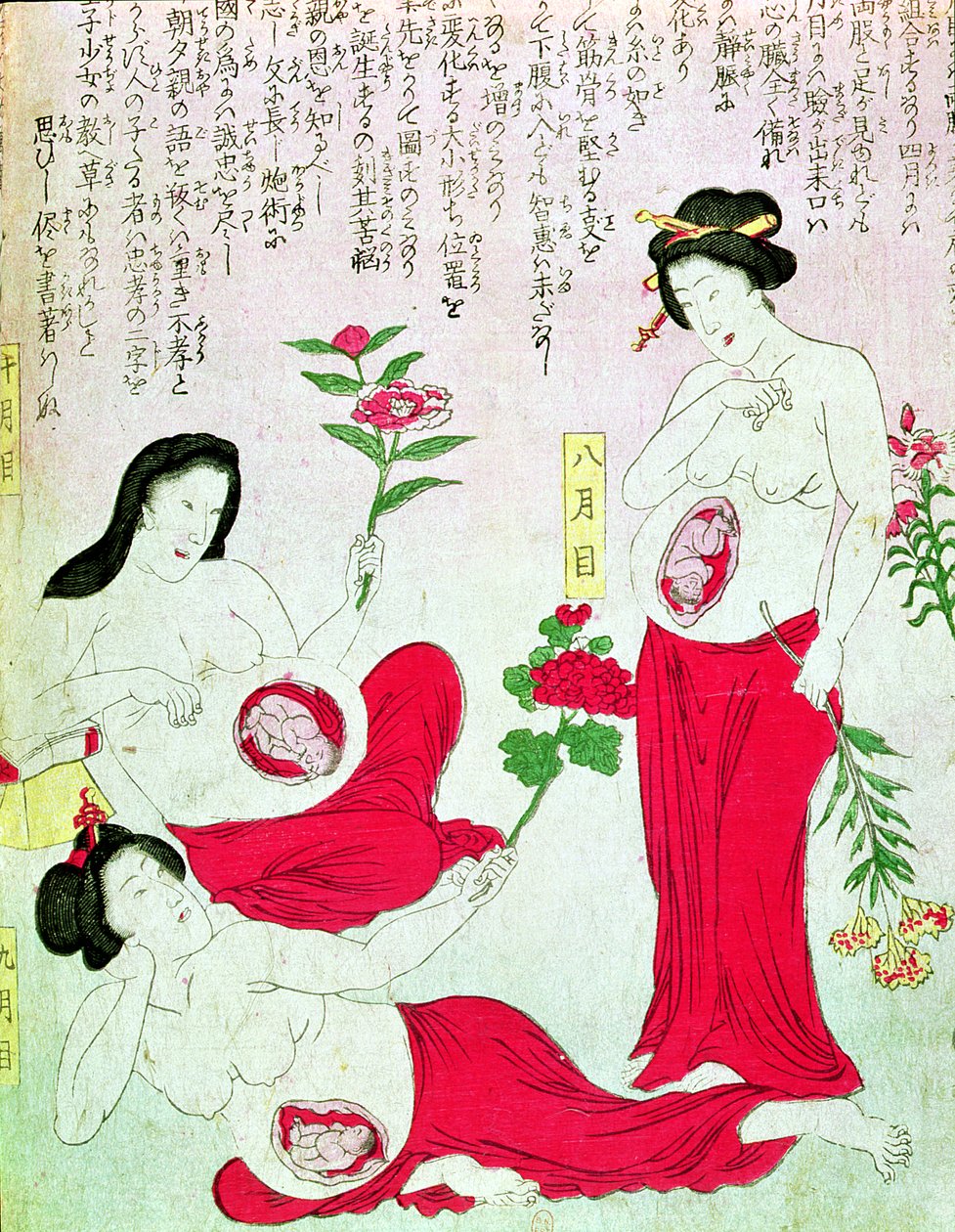 Raskaana olevat naiset, 1881 tekijältä Japanese School