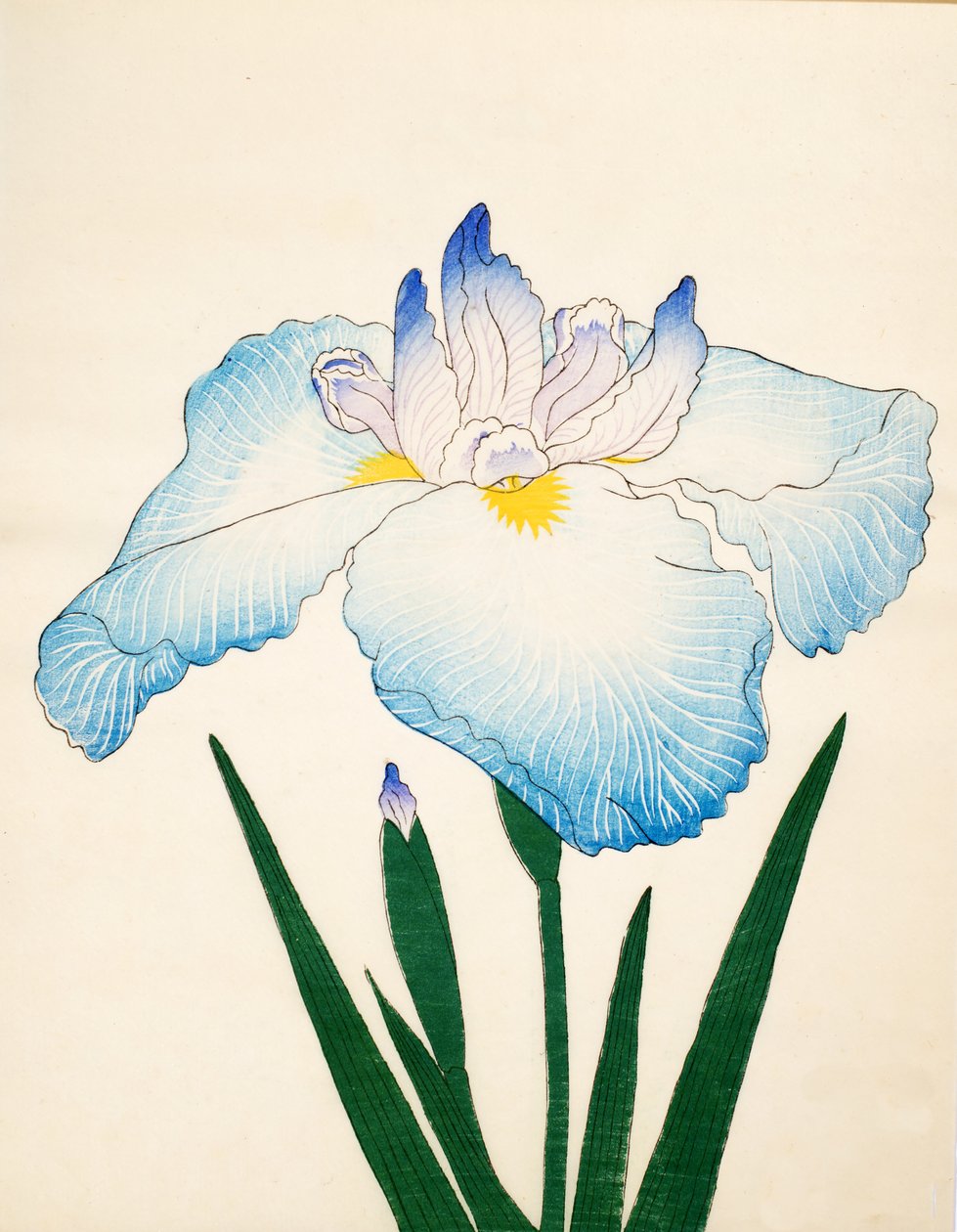 Ripples of. 68, 1890 tekijältä Japanese School