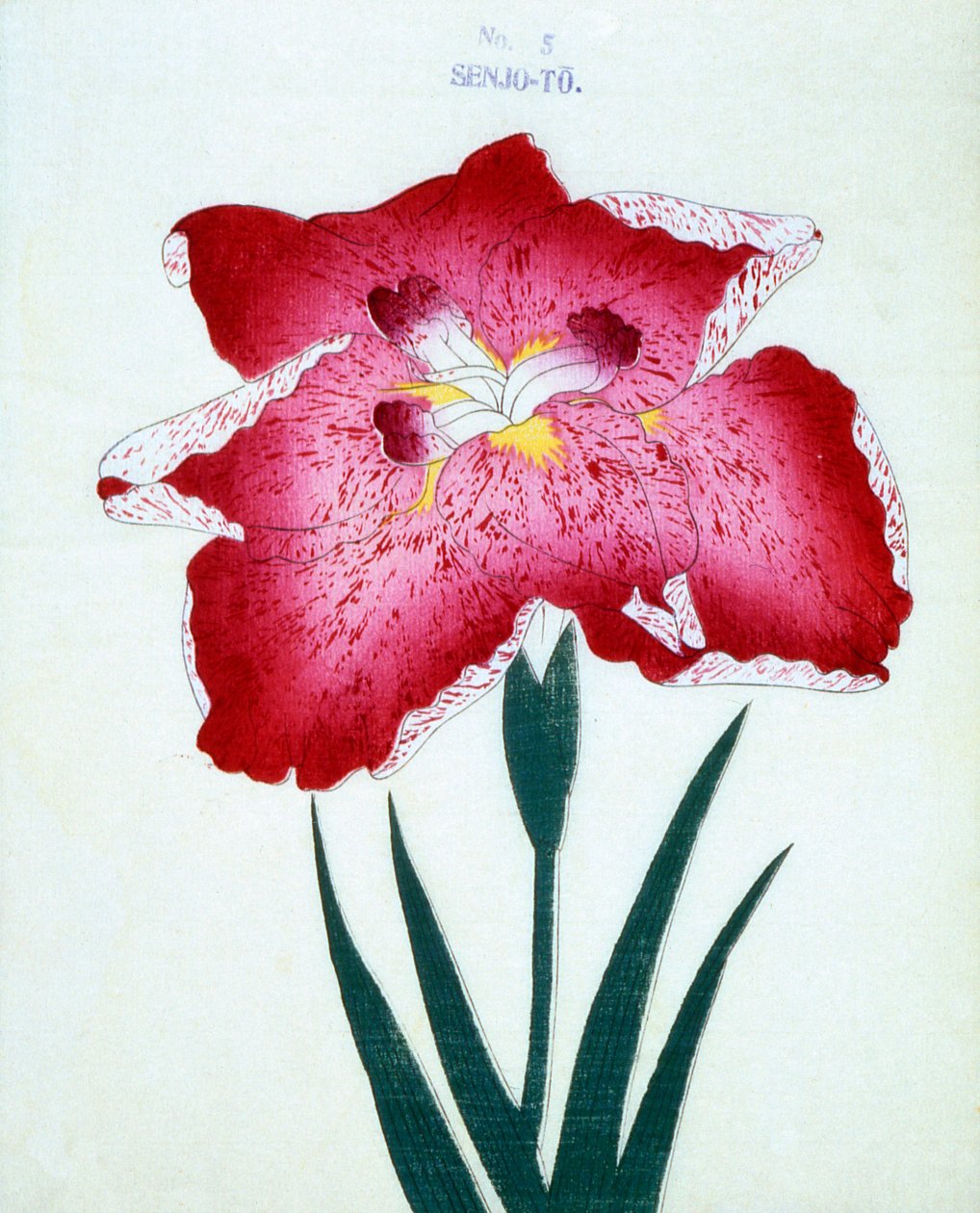 Senjon kanssa. 5, 1898 tekijältä Japanese School