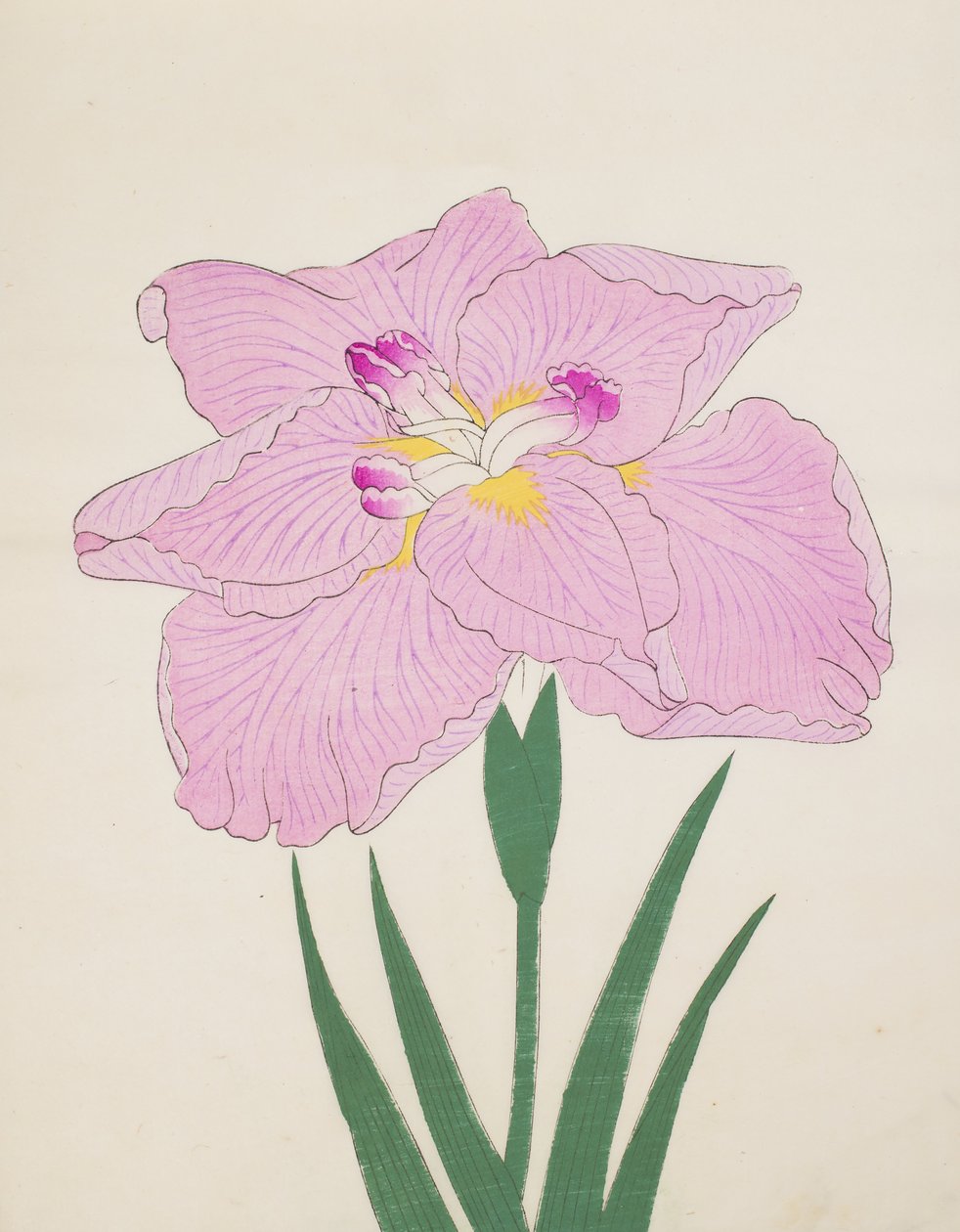 Shu-Fu-Raku, nro 58, 1890 (värillinen puupainatus) tekijältä Japanese School