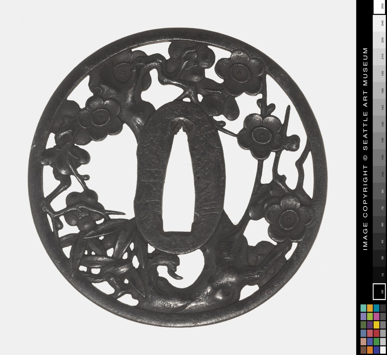 Tsuba: Kukkivan kirsikan oksa, varhainen 1700-luku (rauta) tekijältä Japanese School