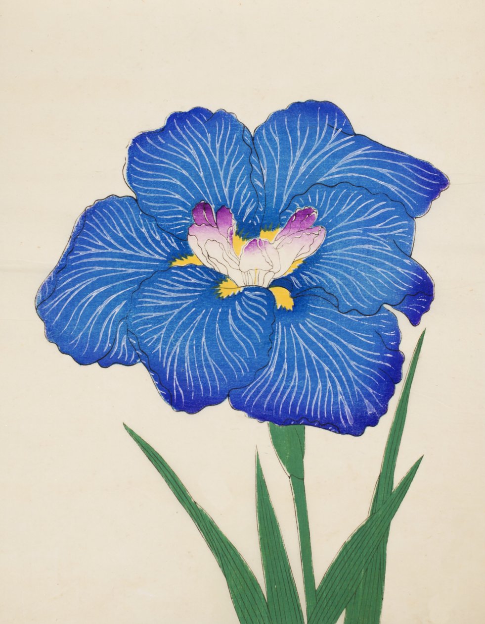 Lehmä Ono. -Savu. 47, 1898 tekijältä Japanese School