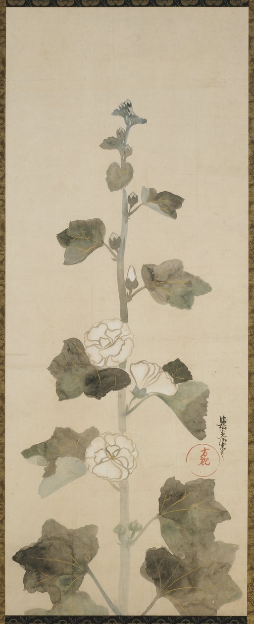 Valkoiset hollyhocks, Edo-kausi, 1615-1868 (muste, sävy ja kulta paperille) tekijältä Japanese School