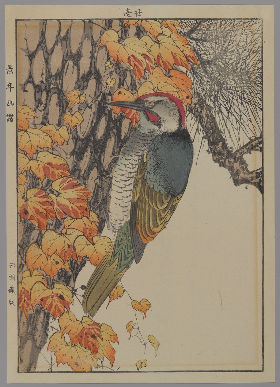 Tikka, 1892 (värillinen puupainatus) tekijältä Japanese School