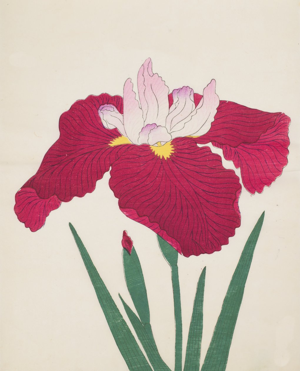Yamamatayama, nro 83, 1890 (värillinen puupainatus) tekijältä Japanese School
