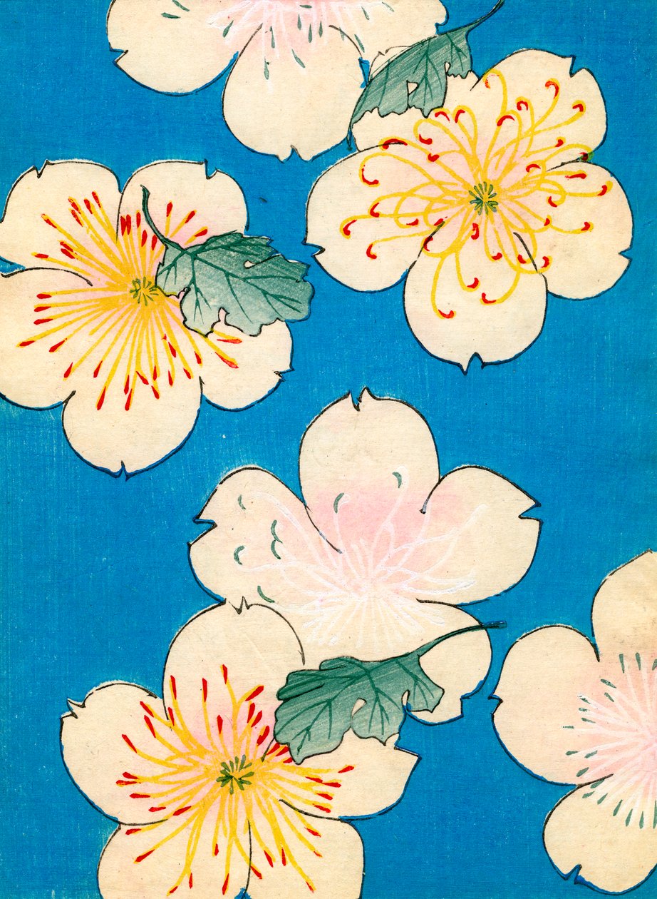 värillinen puupalikkaprintti Dogwood Blossomsista tekijältä Japanese School