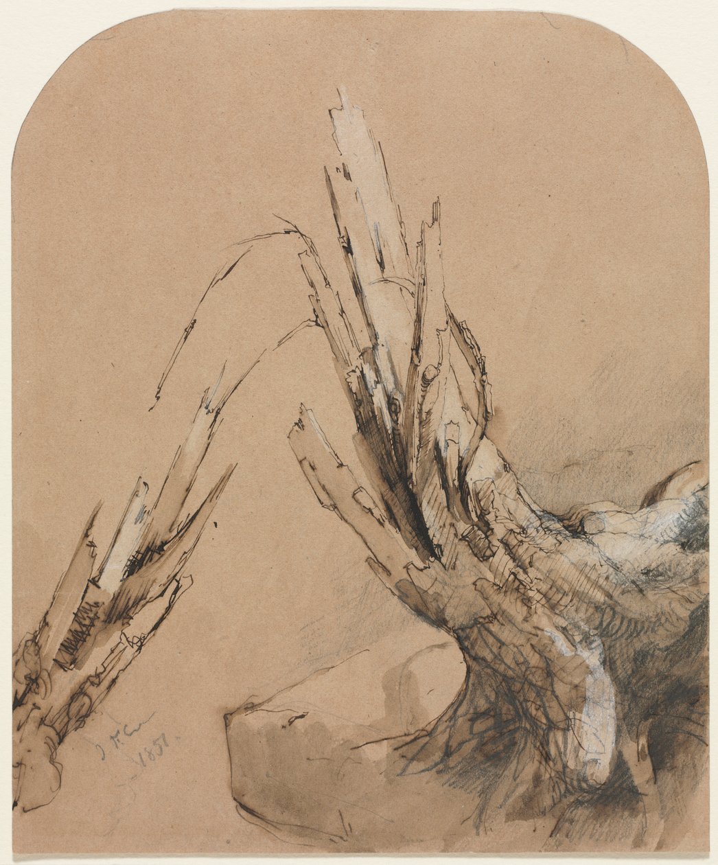 Räjäytyspuu, 1851. tekijältä Jasper Francis Cropsey