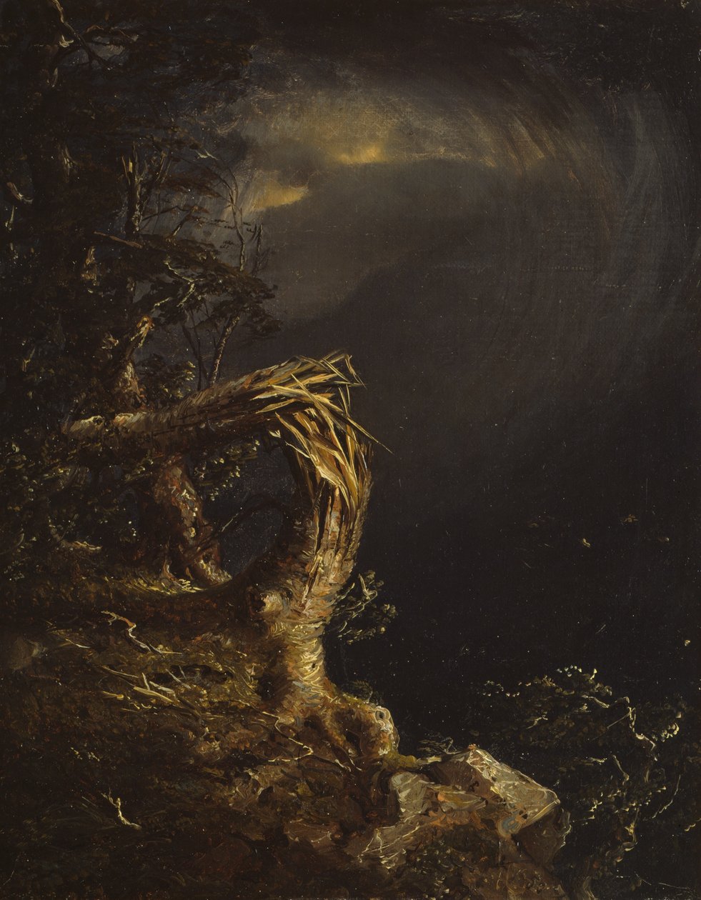 Räjäytyspuu, 1850. tekijältä Jasper Francis Cropsey