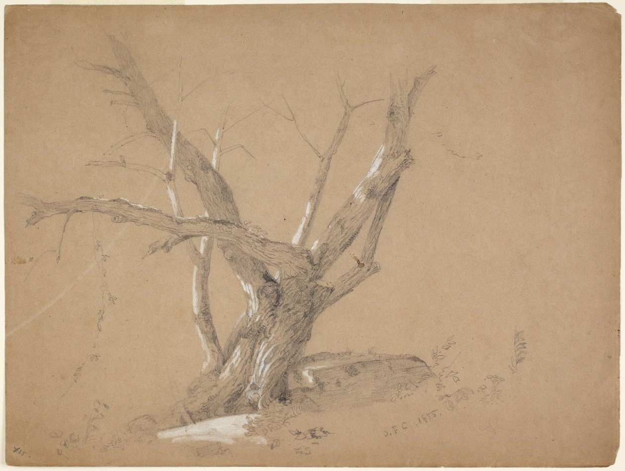 Puututkielma tekijältä Jasper Francis Cropsey