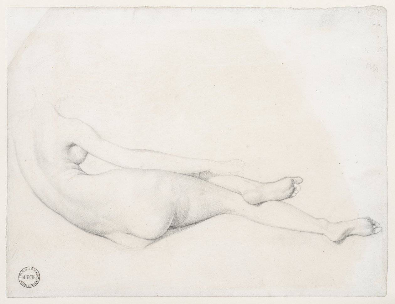 Tutkimus La Grande Odalisquelle, 1814 (grafiitti kudottupaperille) tekijältä Jean Auguste Dominique Ingres