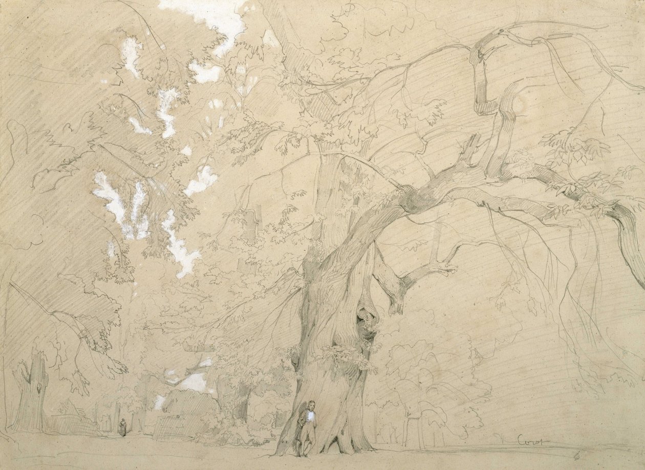 Nuori mies suuren tammen edessä tekijältä Jean Baptiste Camille Corot