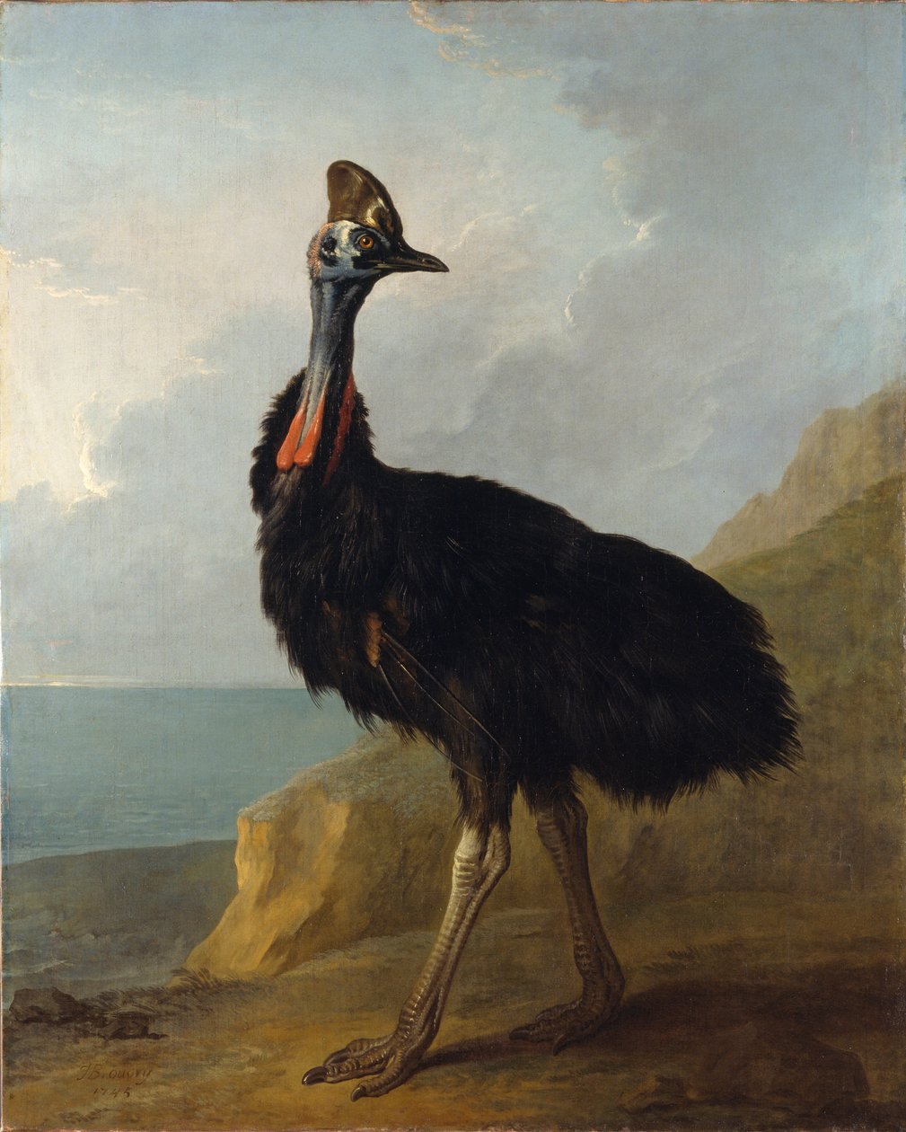 Kasuaari tekijältä Jean Baptiste Oudry