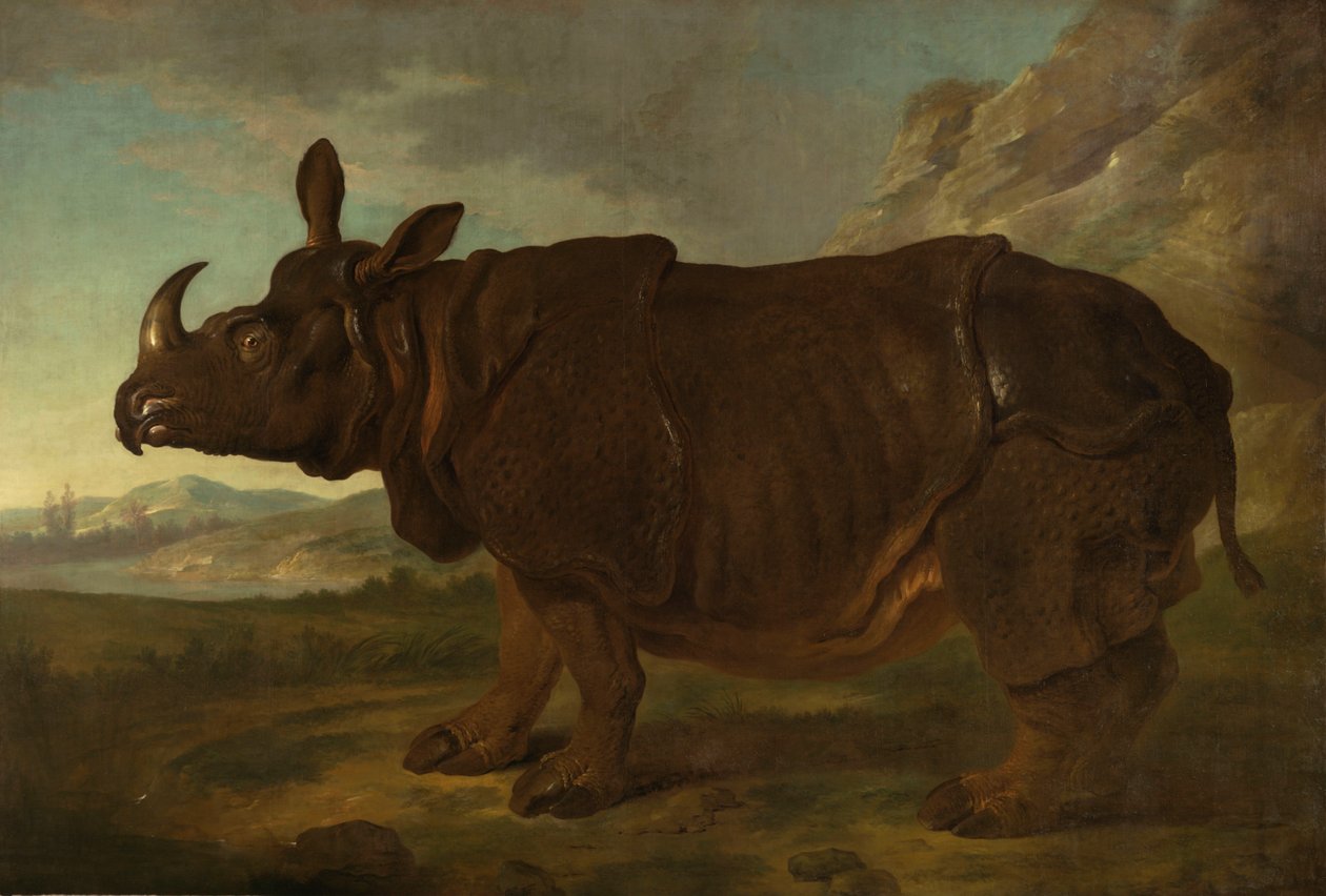 Clara sarvikuono Pariisissa vuonna 1749 tekijältä Jean Baptiste Oudry