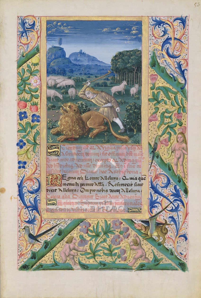 neiti Lat. Q.v.I.126 f.53 David puolustamassa isänsä lampaita leijonaa vastaan, Louis d