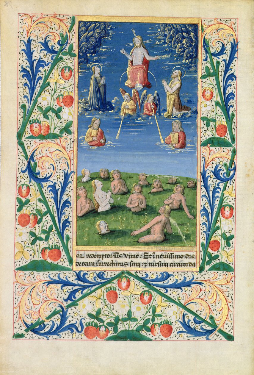 neiti Lat. Q.v.I.126 f.78v Resurrection of the Saved, Louis d