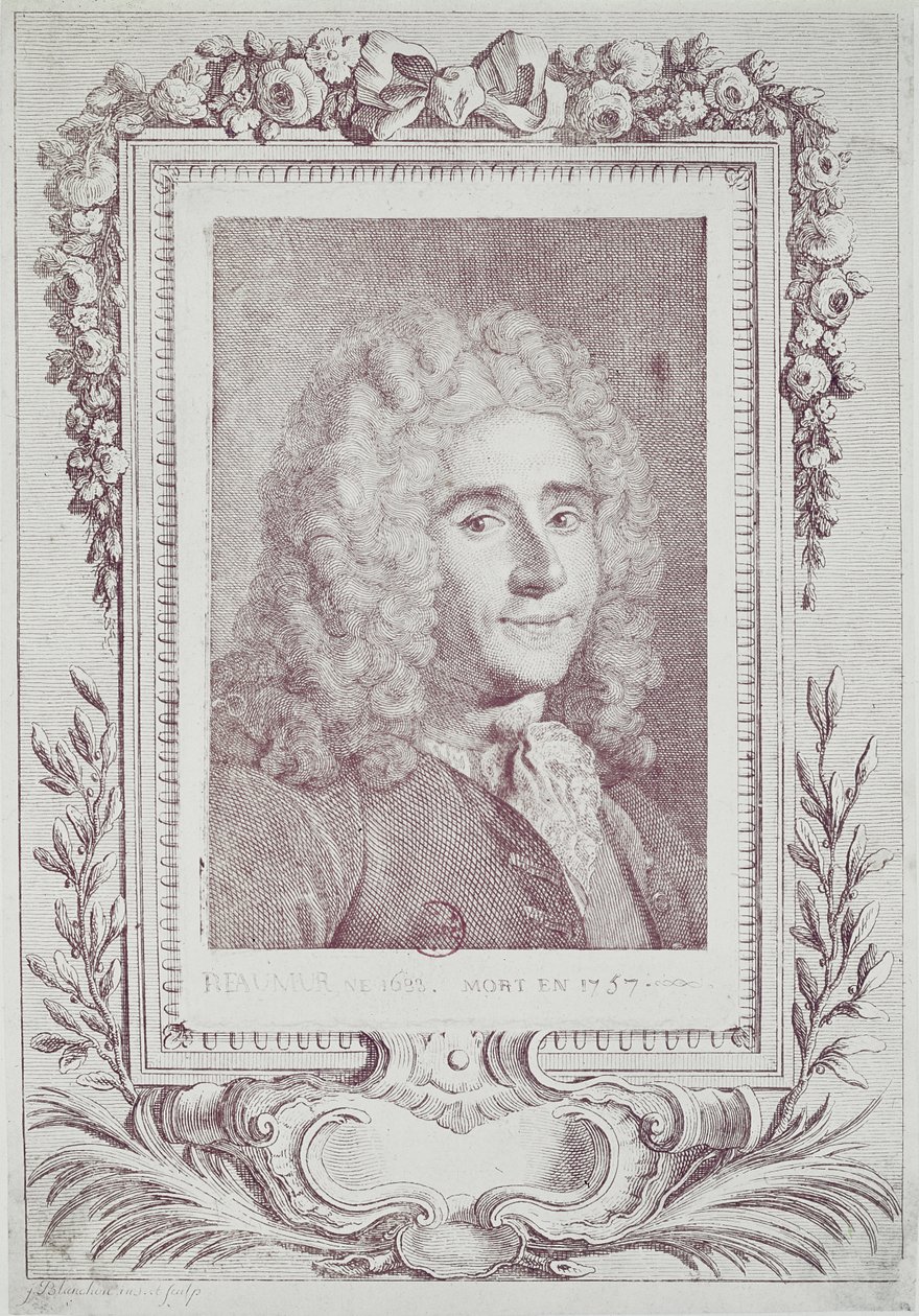 Rene Antoine Ferchault de Reaumur (1683-1757) tekijältä Jean Guillaume Blanchon