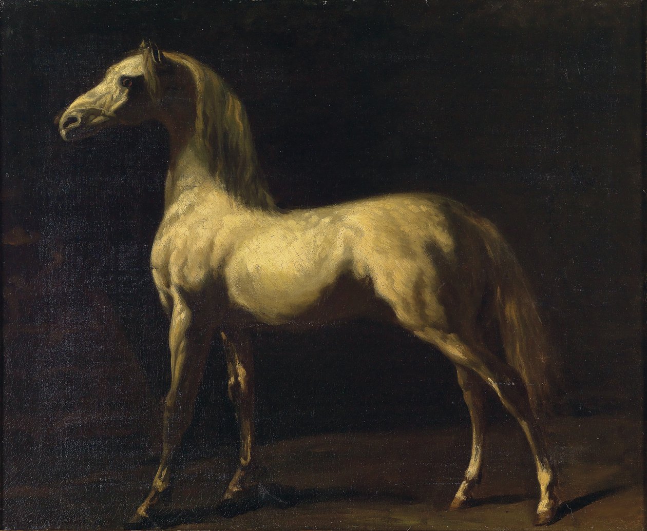 Ein stehendes Pferd tekijältä Theodore Gericault