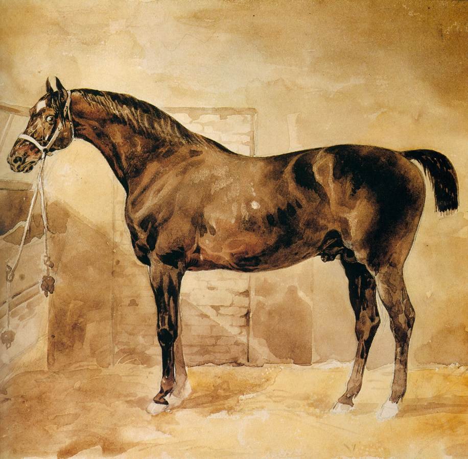 Englantilainen hevonen tallissa tekijältä Theodore Gericault