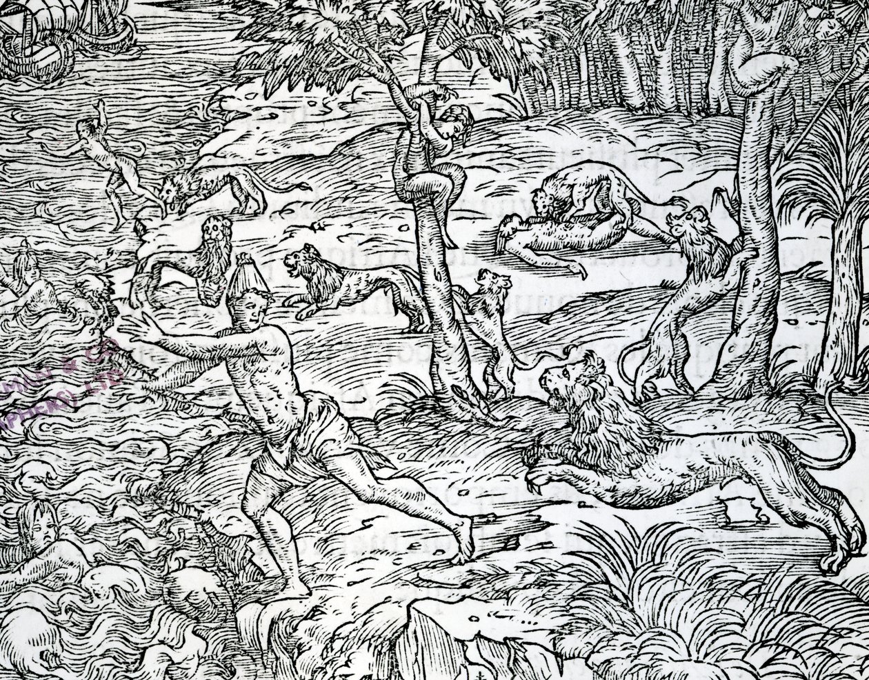 Lionit hyökkäävät ihmisiin ja syövät niitä, kuvitus Andre Thevetin teoksesta "Les singularities de la France antarctique", julkaistu 1558 tekijältä Jean the Younger Cousin