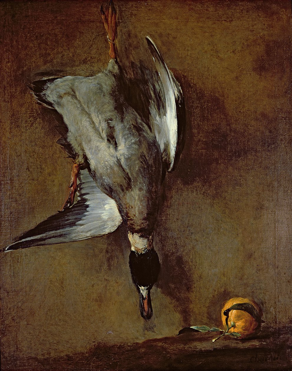 Mallard ankka roikkuu seinällä Sevillan appelsiini, 1720-30 öljy n kankaalle) tekijältä Jean Baptiste Simeon Chardin