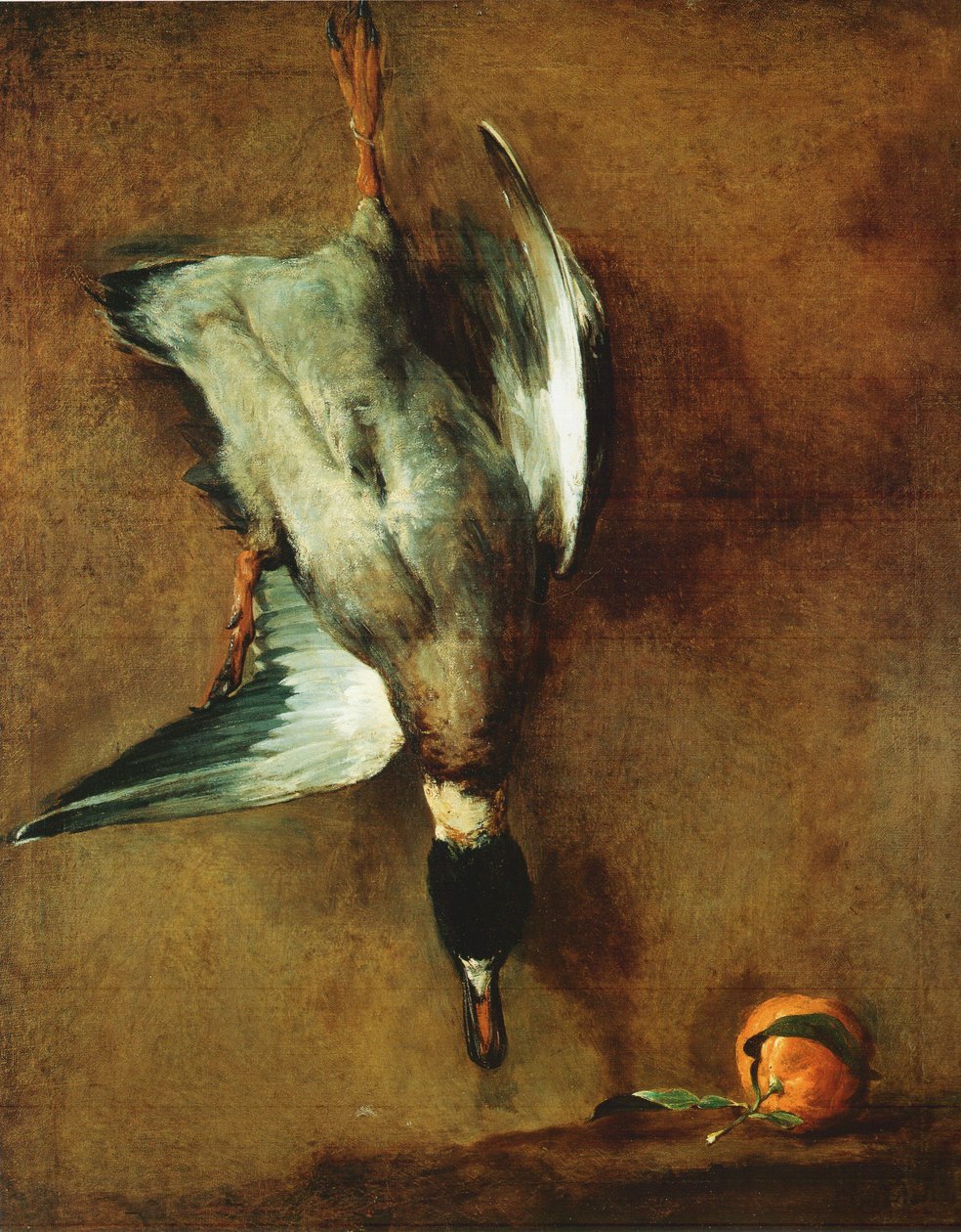 Un canard col-vert attaché à la muraille et une bigarade tekijältä Jean Baptiste Simeon Chardin