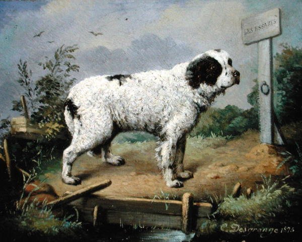 Newfoundland pengertiellä tekijältä Jean Baptiste Desgrange