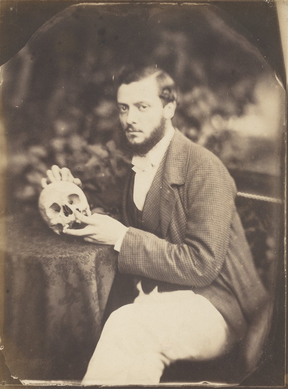 A Vanitas, c. 1856 (kuva) tekijältä Jean Baptiste Frénet