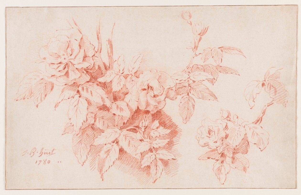 Ruusut tekijältä Jean-Baptiste Huet