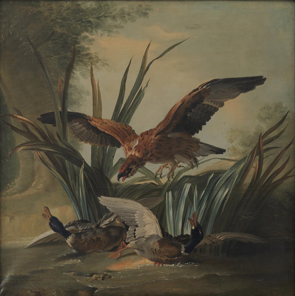 Haukka lyömässä ankkaparia tekijältä Jean-Baptiste Oudry
