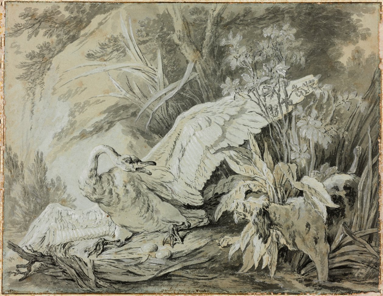 Koira hyökkäsi villijoutsenen kimppuun tekijältä Jean-Baptiste Oudry