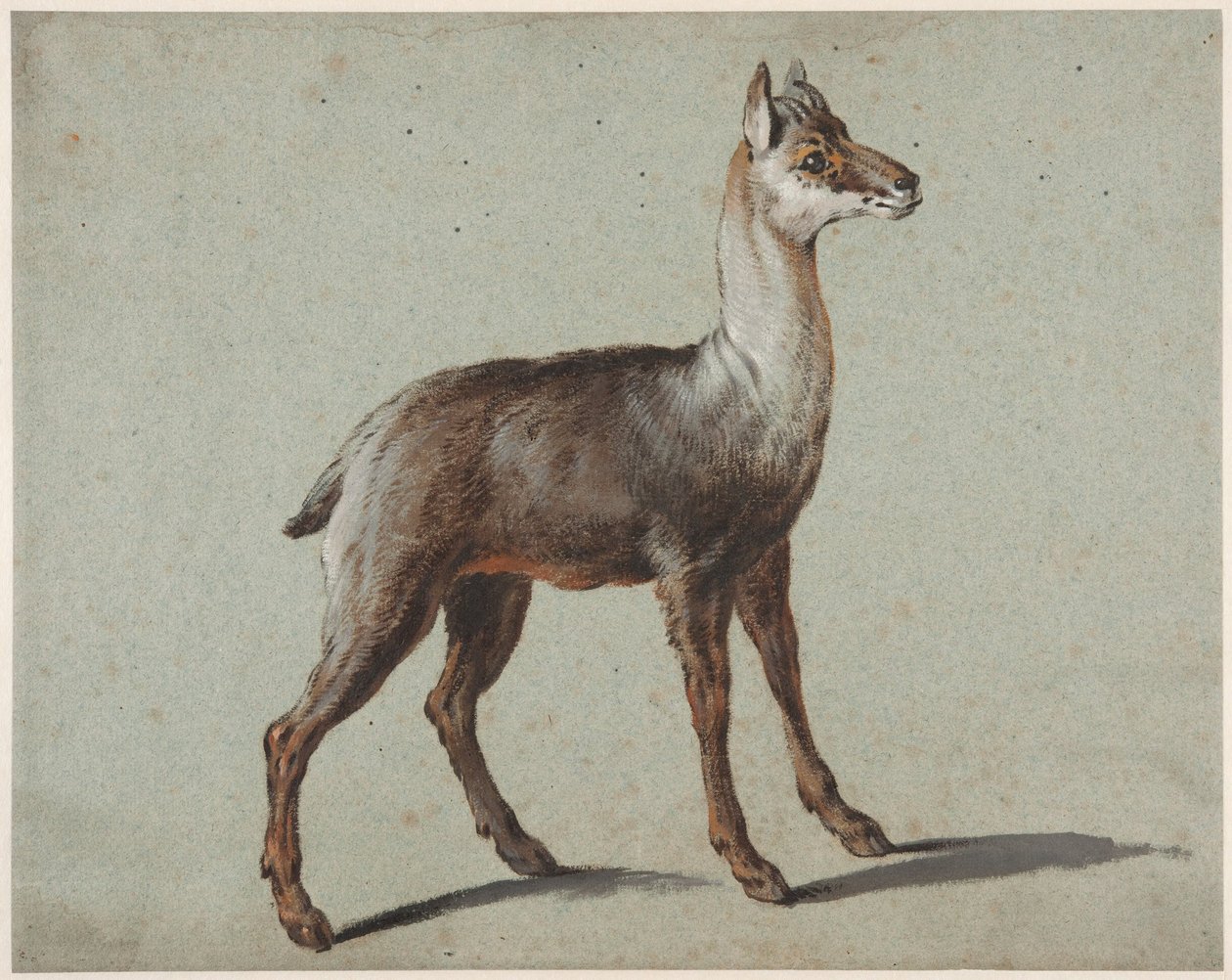 Gemssi tekijältä Jean-Baptiste Oudry