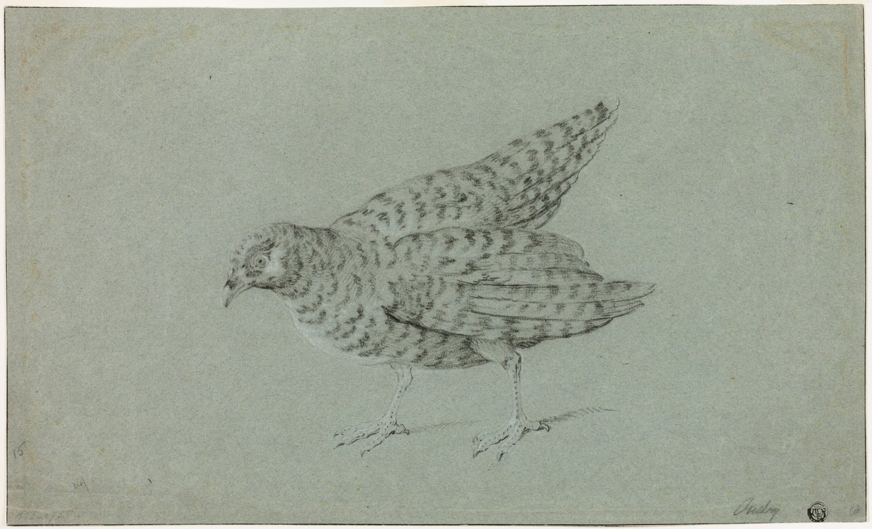 Peltopyy tekijältä Jean-Baptiste Oudry