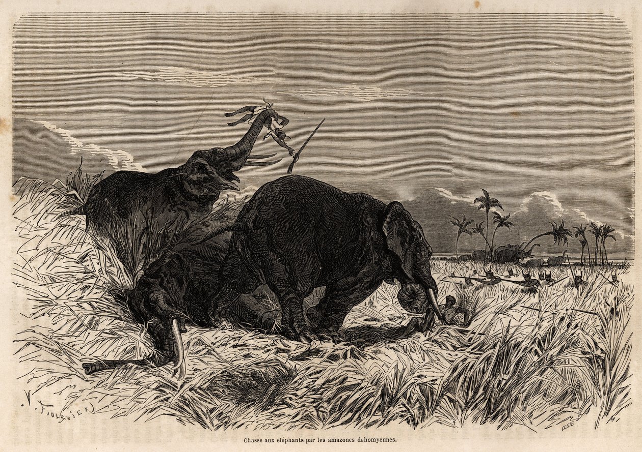 Dahomyan Amazonien metsästys norsuille tekijältä Jean Antoine Valentin Foulquier