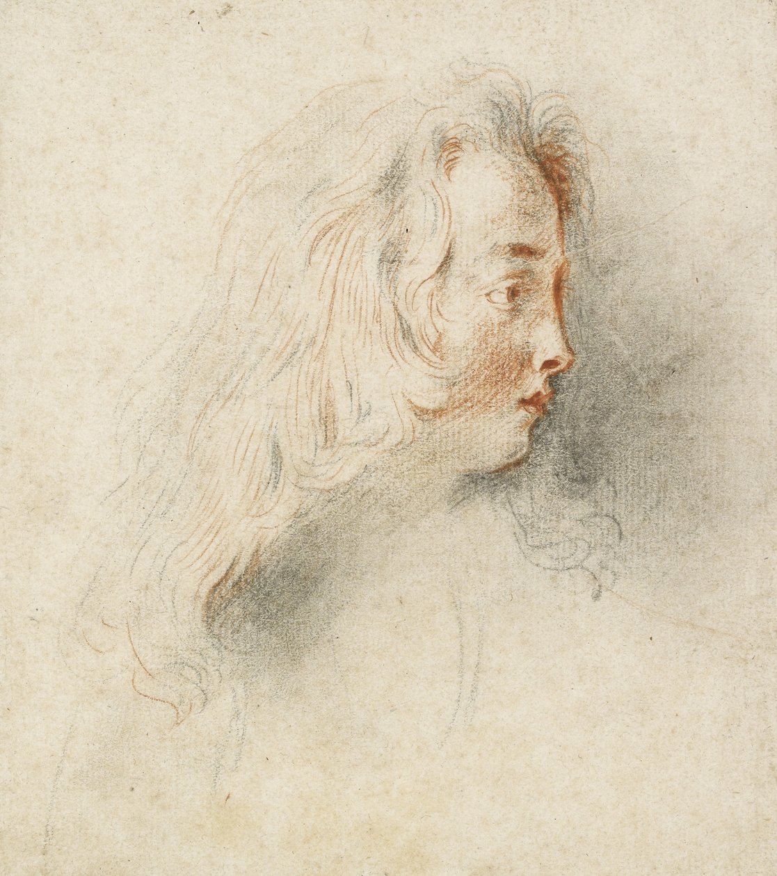 Pojan pää profiilissa (mustaa ja punaista liitua värjätyllä luonnonvalkoisella paperilla). tekijältä Jean Antoine Watteau