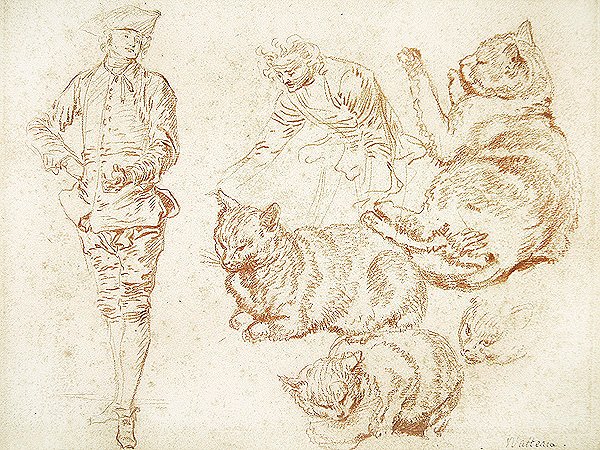 Kaksi miestä ja neljä kissaa (punainen liitu paperille) tekijältä Jean Antoine Watteau