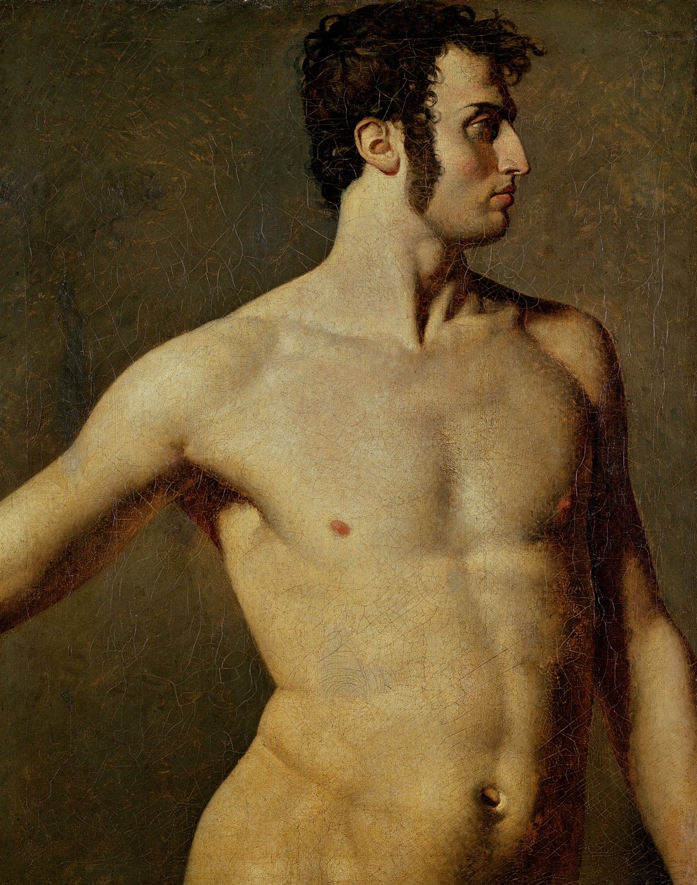 Miesten torso tekijältä Jean Auguste Dominique Ingres