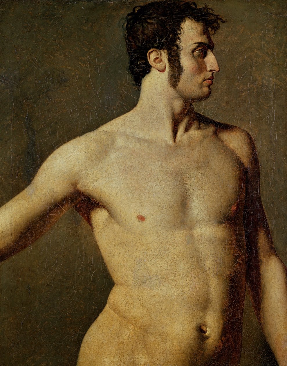 Miesten torso, n. 1800 (öljy kankaalle) tekijältä Jean Auguste Dominique Ingres