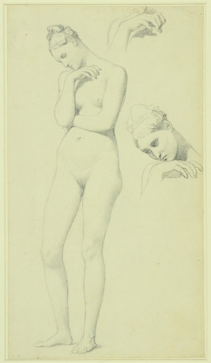 Stratonicen hahmoa varten tehtyjä tutkimuksia, n.1834-40 (lyijykynä paperille). tekijältä Jean Auguste Dominique Ingres
