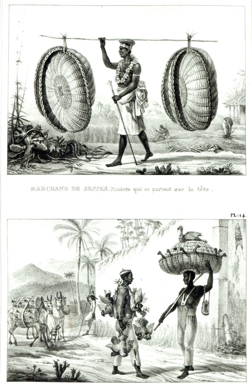 Pääkorit ja siipikarjamyyjä: Kuvankaunis ja historiallinen matka Brasiliaan tekijältä Jean Baptiste (after) Debret