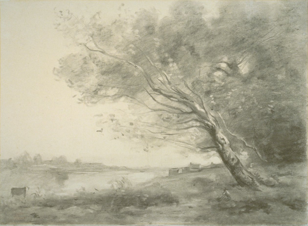 Taivutettu puu veden äärellä tekijältä Jean Baptiste Camille Corot