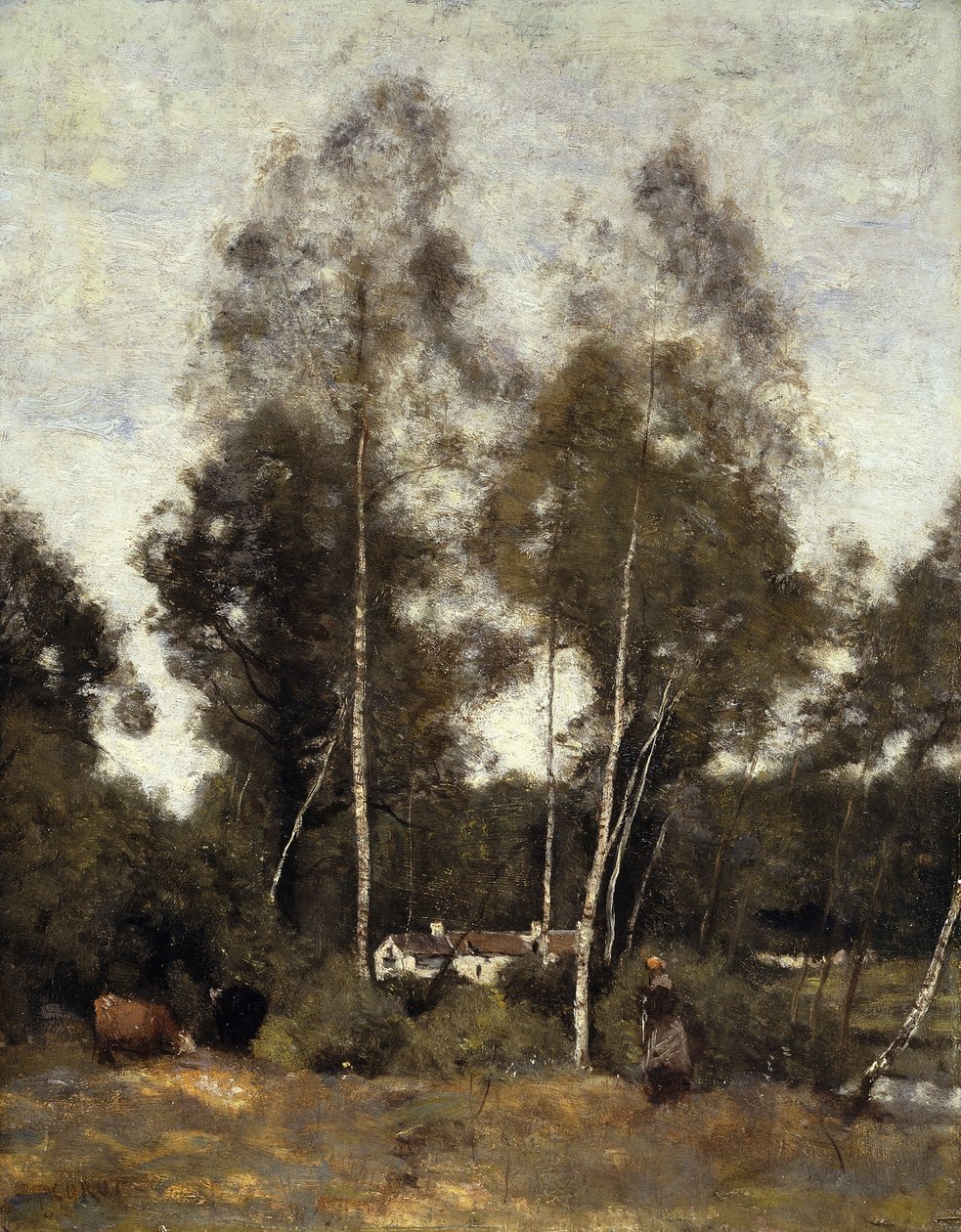 Clairiere Pierre du Bois, Evaux, lähellä Chateau-Thierryä; Glade of Bois Pierre, Evaux