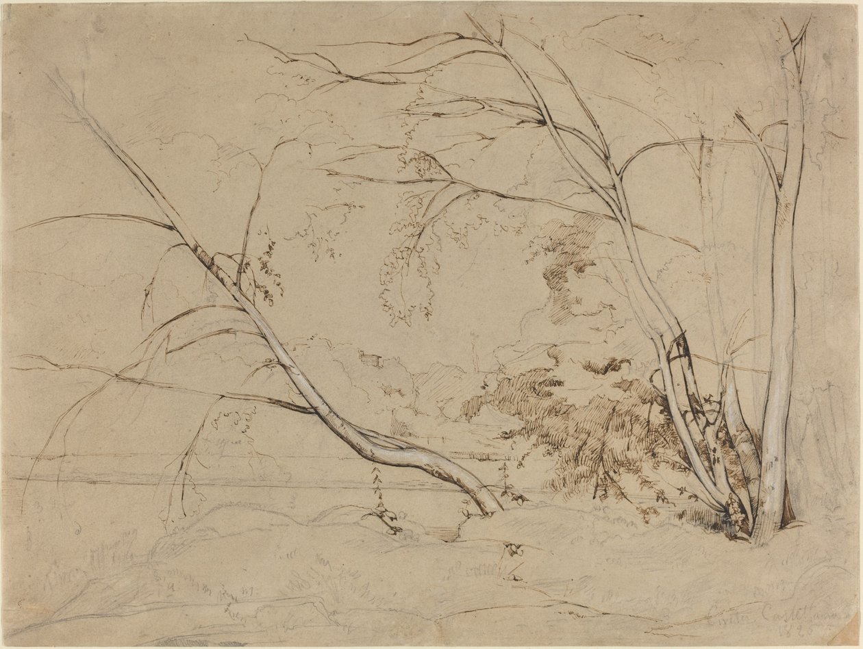 Puuryhma Civita Castellanassa tekijältä Jean Baptiste Camille Corot