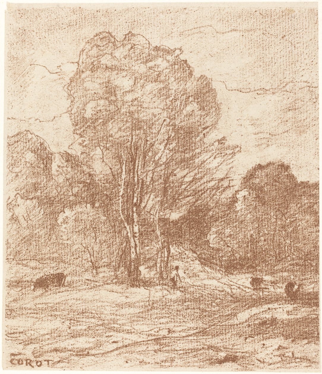 Drowsing Cattle The Dorm of Cows, 1871. tekijältä Jean Baptiste Camille Corot