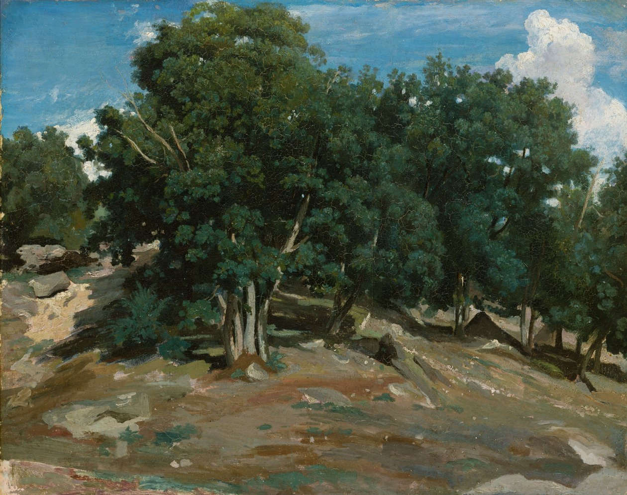 Fontainebleau: Bas-Bréaun tammet, 1832-3 (öljy paperille, puulle kiinnitetty). tekijältä Jean Baptiste Camille Corot