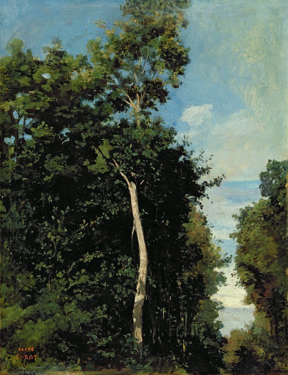 Metsä Cote de Gracen rannalla Honfleurissa (öljy kankaalle, laudalle kiinnitetty) tekijältä Jean Baptiste Camille Corot