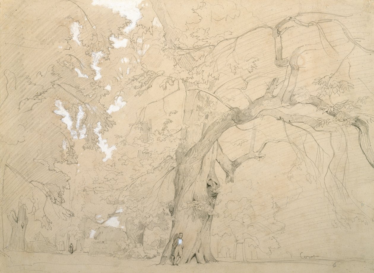 Nuori mies suuren tammen edessä, n. 1840 (kynä ja guassi paperille) tekijältä Jean Baptiste Camille Corot