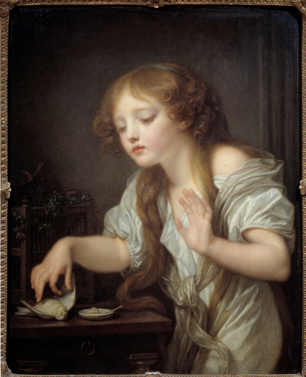 Nuori tyttö epäröi koskettaa lintua peläten sen olevan kuollut tai kuollut lintu Jean Baptiste Greuzen (1725-1805) maalaus 1800 Su. 0,68x0,55 m tekijältä Jean Baptiste Greuze