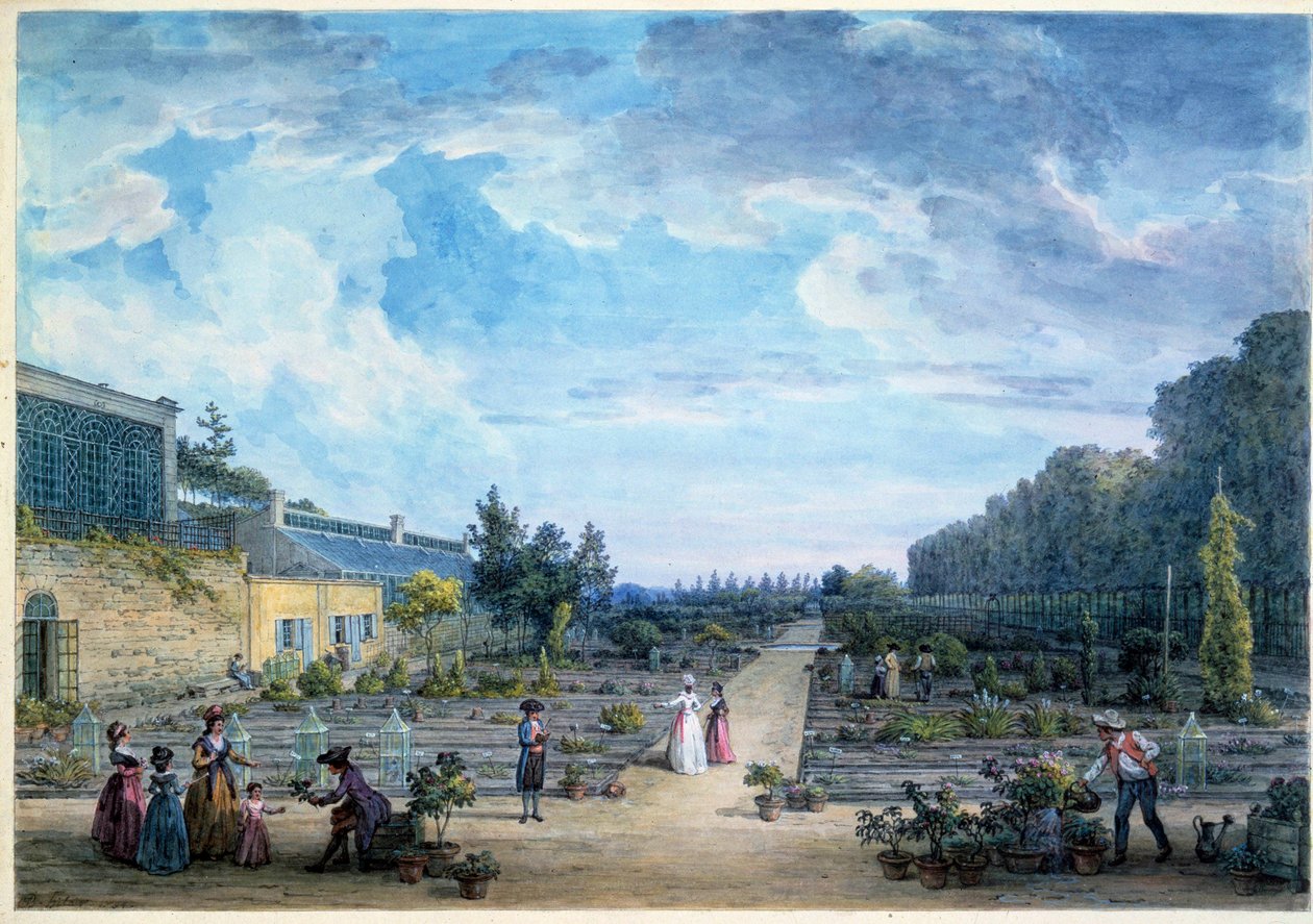 Näkymä Jardin du Roi (nykyinen Jardin des Plantes) Litografia Jean Baptiste Hilaire (1753-1822) 1794 Paris, B.N. tekijältä Jean Baptiste Hilaire