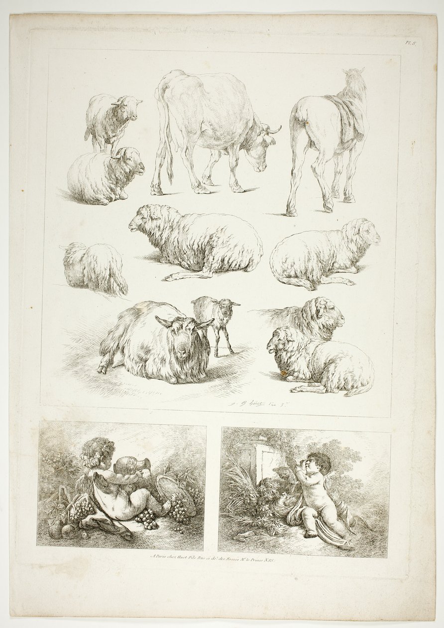 Levy 8/38 teoksesta Oeuvres de J. B. Huet tekijältä Jean Baptiste Huet
